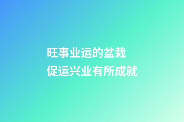 旺事业运的盆栽 促运兴业有所成就